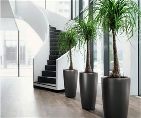 辦公家具 辦公家具