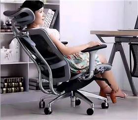 多功能人體工學椅 多功能人體工學椅