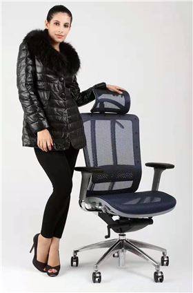 多功能人體工學椅 多功能人體工學椅