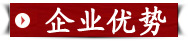 碧江企業(yè)優(yōu)勢