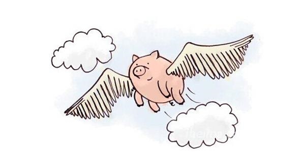 站對風口浪尖,上海辦公家具廠家也能像“豬”一樣飛起來