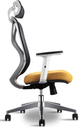 人體工程學(xué)辦公椅 人體工程學(xué)辦公椅