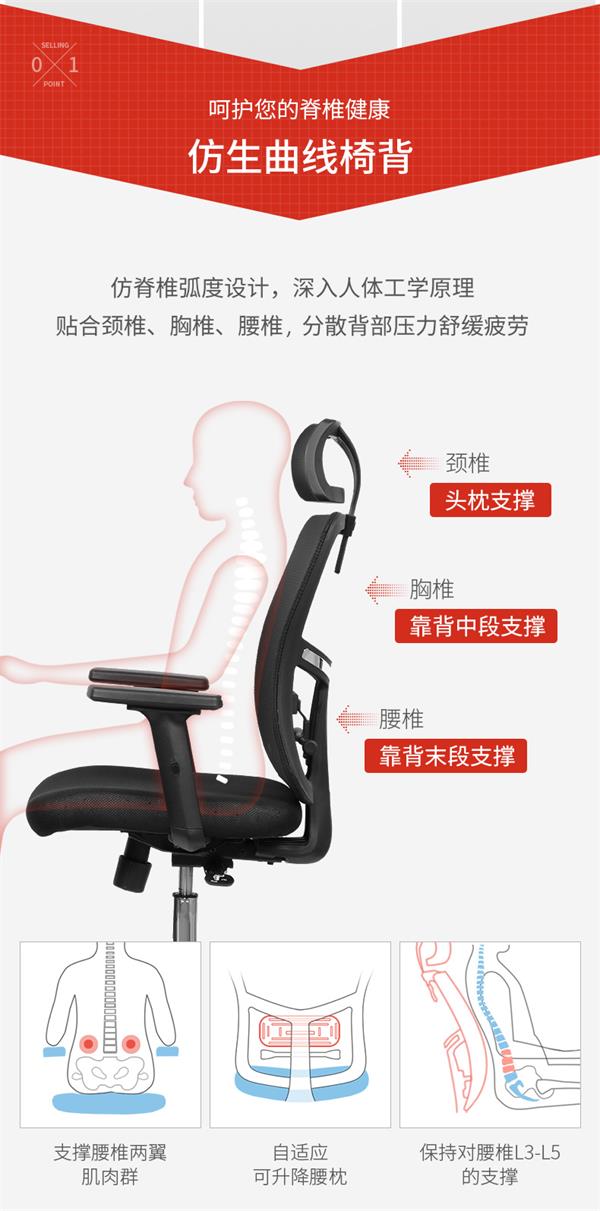 人體工學(xué)辦公椅電競(jìng)椅 人體工學(xué)辦公椅電競(jìng)椅